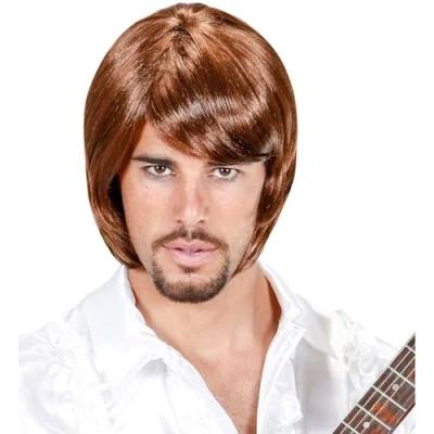 Image of 70s Pop Star Bjorn Boxed Wig for Hair Accessory Fancy Dress