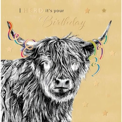 Image of Male Birthday Card for Him General Men Artistic Highland Cow Design I Herd It&#039;s Your Special Finishes Made in the UK Eco Friendly