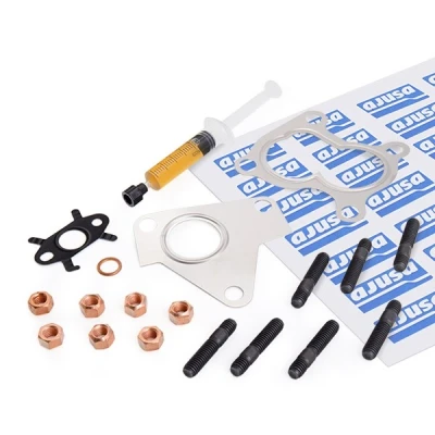 Image of 144113163R, 144113321R, 7701473122, 7701473673, 7711135037 Mounting Kit, charger AJUSA JTC11273 with studs, syringe oil gaskets/seals