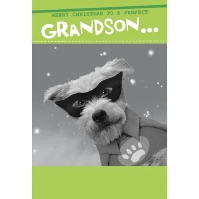 Image of Merry Christmas A Perfect Grandson Funny Card Quitting Hollywood Cards XRA3287