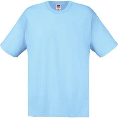 Image of Fruit of the Loom Men&#039;s Original T. T Shirt, Sky, Small