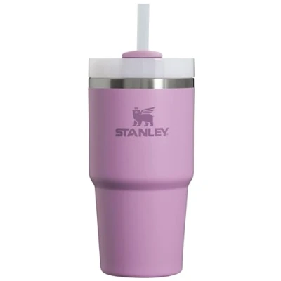 Image of STANLEY Quencher H2.0 FlowState Stainless Steel Vacuum Insulated Tumbler with Lid and Straw for Water, Iced Tea or Coffee, Smoothie More, Lilac, 20oz
