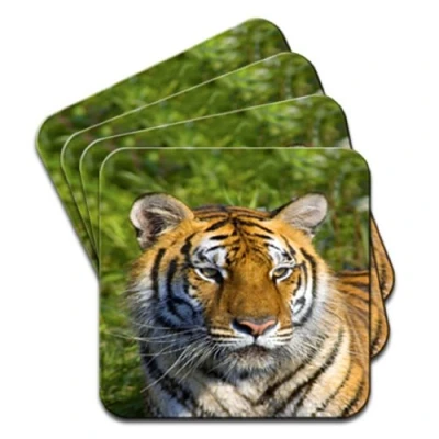 Image of Tiger Face Set of 4 Coasters