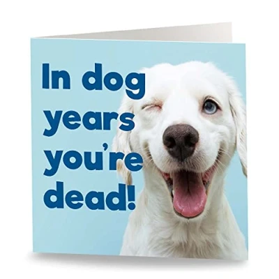 Image of Maturi &#039;In Dog Years...&#039; Funny Humorous Birthday Greetings Card Blank Inside, 15.5 x cm