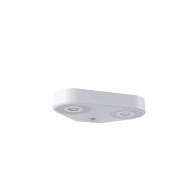 Image of Paulmann Silma 2 Outdoor Wall Lamp w/Sensor SWR White