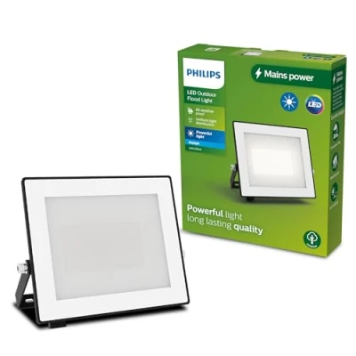 Image of PHILIPS Lois Outdoor Floodlight, 30 W, 5000 K, Black​