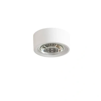 Image of Arcchio Rotari LED ceiling lamp, lens, 1 bulb rigid