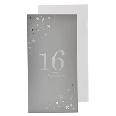 Image of Silver Birthday Money Wallet and Envelope 16th