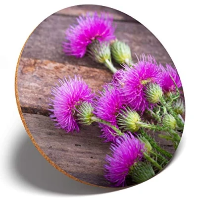 Image of 1 x Purple Scottish Thistle Round Coaster Kitchen Student Kids #3645