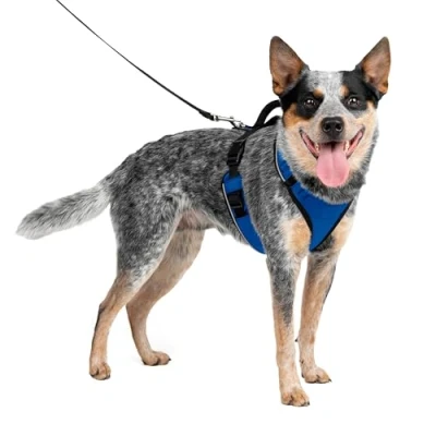 Image of PetSafe EasySport Harness, Walking Harness for Dogs, Adjustable, Padded, Medium Blue