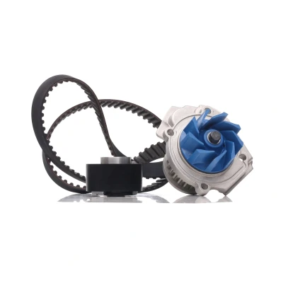 Image of 1334190, 1334251, 636277, 636279, 95512797 Water Pump + Timing Belt Kit SKF VKMC 02204 3 124 with rounded tooth profile Plastic
