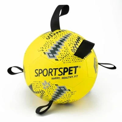 Image of SPORTSPET Dog Football with Grab Tabs, Durable Interactive Balls, Floating Water Toy for Indoor &amp; Outdoor Play (Size 4 Dark Green)