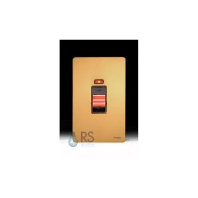 Image of Schneider Electric Ultimate Screwless Flat Plate Double Control Switch with Neon Indicator, Pole, 50AX, GU4421BPB, Polished Brass Black Insert