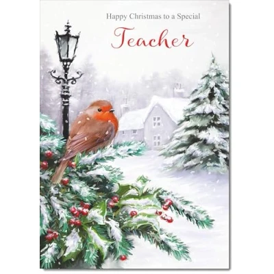 Image of doodlecards Teacher Christmas Card Robin by Lamp Large A4 Size for with Plain Envelope