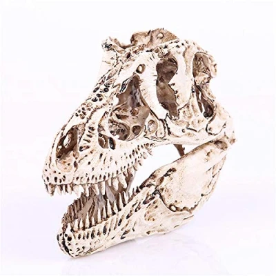 Image of VOANZO Resin Tyrannosaurus Rex Skull Model Replica, Dinosaur Tooth Fossil, Photography Props Teaching Tool Home Ornament