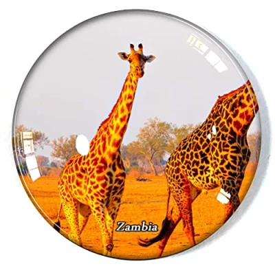 Image of Zambia Fridge Magnet Refrigerator Freezer Souvenir Decoration Sticker Glass Crafts