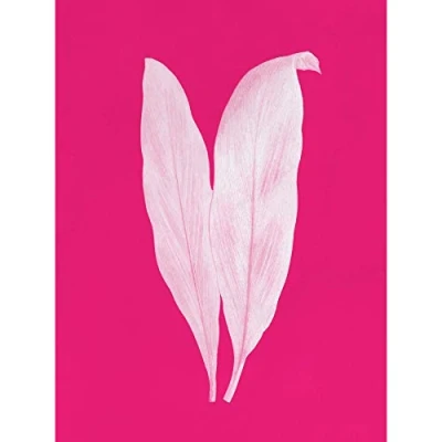 Image of Wee Blue Coo Bright Coloured Leaf Pink Large Wall Art Print Canvas Premium Poster