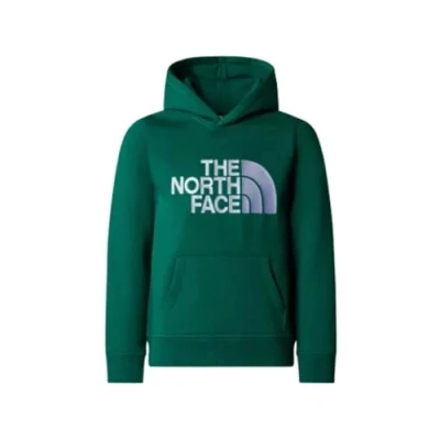 Image of The North Face DREW PEAK Hoodie for kids, Size: 12y, Evergreen