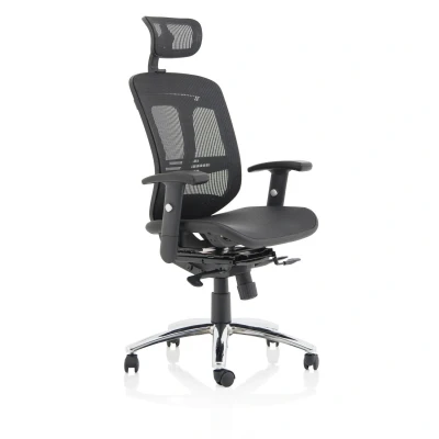 Image of Mirage II Executive Chair Black Mesh with Arms Headrest