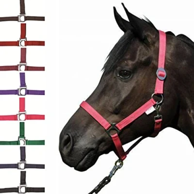 Image of HKM Stars Economy Halter Dunkelblau Warmblut