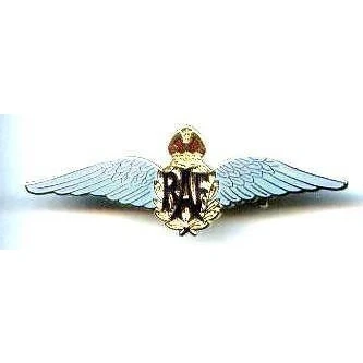 Image of RAF SWEETHEART MILITARY ENAMEL LAPEL PIN BADGE