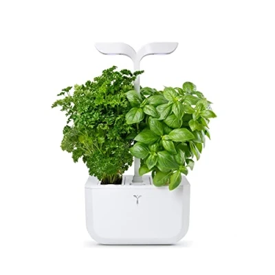 Image of Veritable Arctic White Classic Exky 2 Slot Indoor Garden