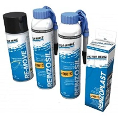 Image of Reinz Sealing 557.70.03 Professional Set