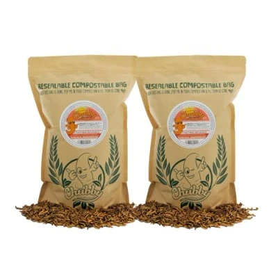 Image of Chubby Mealworms EU Grown Refill Bag (2Kg), Dried for Wild Birds, Protein Rich Meal Worms High Energy Reptiles, Gecko