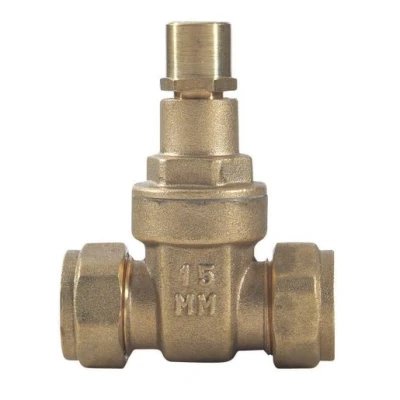 Image of 22mm Brass Gatevalve Lockshield