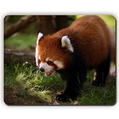 Image of Panda mouse pad,Gaming pad mousemat pad,brilliant red panda,Game Office pads