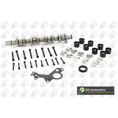 Image of 038109101R Camshaft BGA CS9901SFK Exhaust Side, Intake Side VOLKSWAGEN: Transporter 5, Touran I, Golf 4