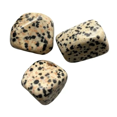 Image of VIE Tumbled Crystals, Pack of 12, Dalmatian Jasper