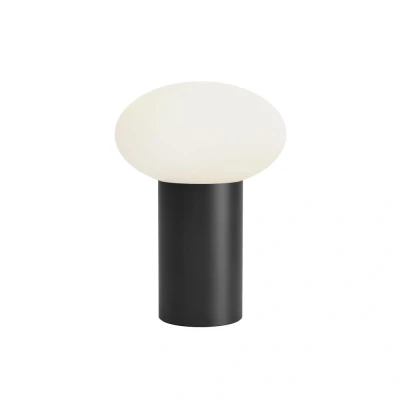 Image of Zeppo Portable Matt Black Light Astro