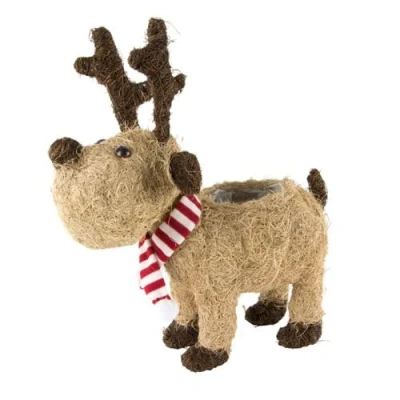 Image of Fargro Christmas Plant Pot Festive Xmas Planter With Lining Paper Home Decoration Cover Decor Wicker Ornaments (Coco Moose Planter)