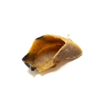 Image of Natural Treats British Dried Hooves (Beef 3pcs) 100% Long Lasting Dog