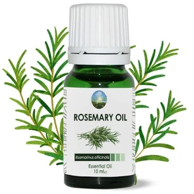 Image of NPOW Rosemary Essential Oil Natural for Hair, Organic Pure Scalp Oil, Diffuser Humidifier Aromatherapy Oils, Oils Candle Making, Skin 10ml