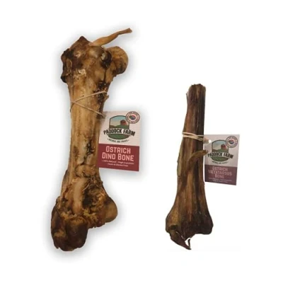 Image of Dino Bone and Metatarsus Dog Chew