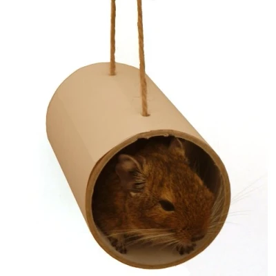 Image of Chewchewbs Totally Degu 4 pack (White)
