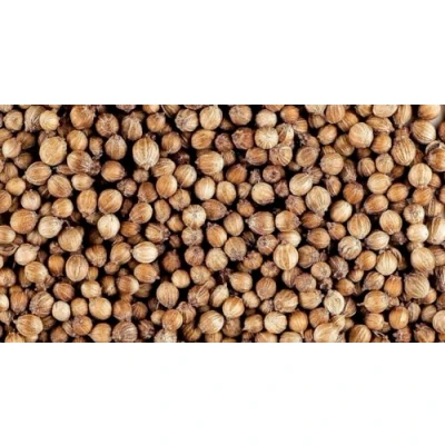 Image of Nim&#039;s Whole Coriander Seed Organic Gourmet Quality Cilantro Seeds for Elevating Dishes 100g
