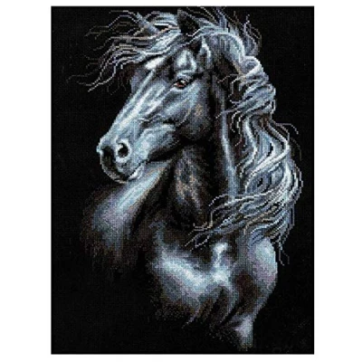 Image of DIY 5D Diamond Painting Kits for Adults/Kids, Black Horse 50x70cm 20x28in Full Drill Small Size Pictures Rhinestone Crystal Embroidery Cross Stitch Art Crafts Home Wall Decoration