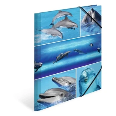 Image of HERMA Folder A4 Dolphins Set, 3 Pieces, Children&#039;s Cardboard Corner with Animal Motif, Elastic Band, Inner Flaps and Print for Boys Girls