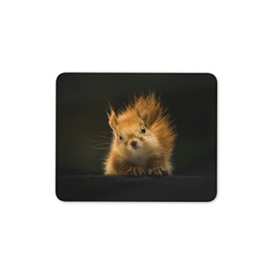 Image of Cute Red Squirrel Mouse Mat Pad Forest Animal Rodent Kids Gift Computer #13158