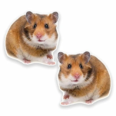 Image of 2 x 10cm Hamster Vinyl Sticker Decal Tablet Laptop Helmet Kids Skate #9642 (10cm Wide High)