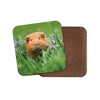 Image of 1 x Cute Guinea Pig Drinks Coaster Ginger Rodent Animal Piglet Fun #8558
