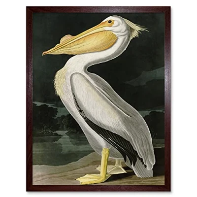 Image of Artery8 Audubon Birds White Pelican Painting Art Print Framed Poster Wall Decor 12x16 inch