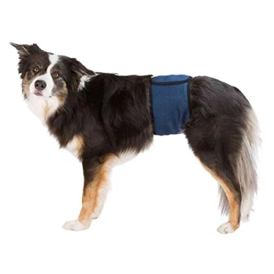Image of Trixie Belly band for male dogs
