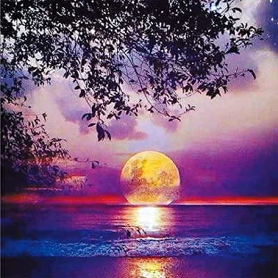 Image of OWN4B Cross Stitch Kits Stamped, Moon Night Tree Printed Pattern 11CT 14.2x14.2 inch DIY Embroidery Kit (Night)