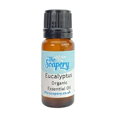 Image of Eucalyptus Organic Essential Oil 10ml 100% Pure and Natural