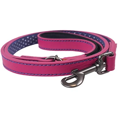 Image of Rosewood Joules Pink Leather Dog Lead