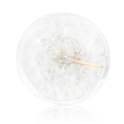 Image of OnIUeZky 1PC Crystal Ball Dandelion Paperweight Dreamball Unique Resin Gifts for Children Friends 9CM